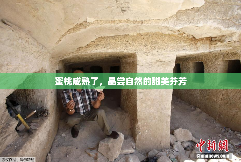 蜜桃成熟了，品尝自然的甜美芬芳