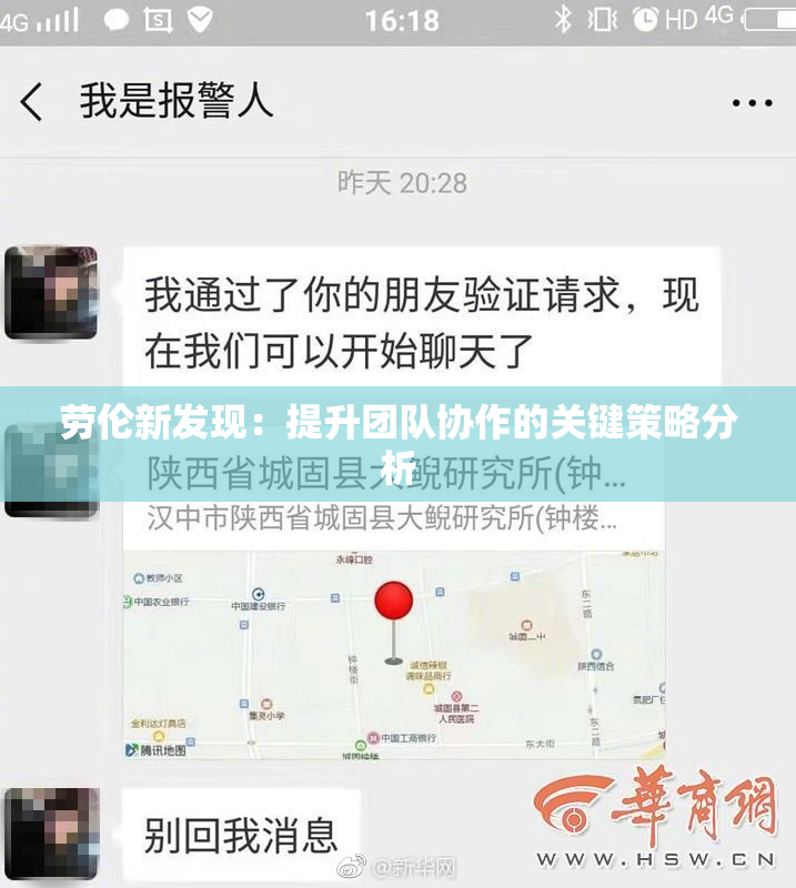 劳伦新发现：提升团队协作的关键策略分析