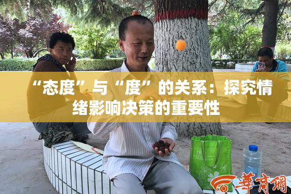 “态度”与“度”的关系：探究情绪影响决策的重要性