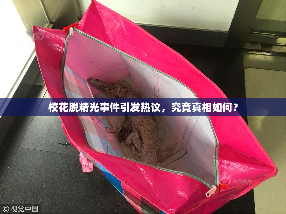 校花脱精光事件引发热议，究竟真相如何？