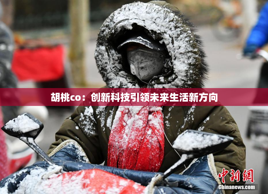 胡桃co：创新科技引领未来生活新方向