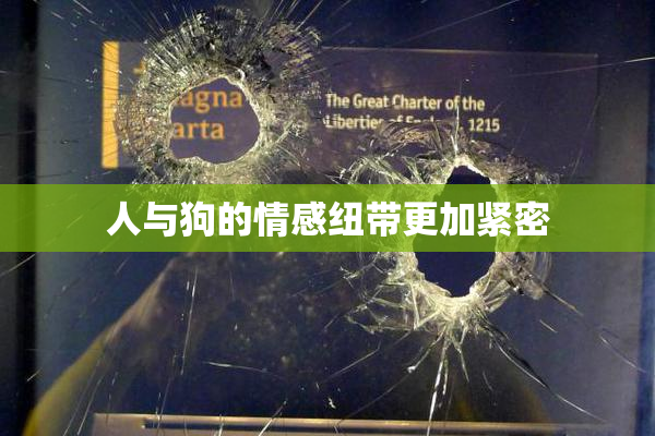 人与狗的情感纽带更加紧密