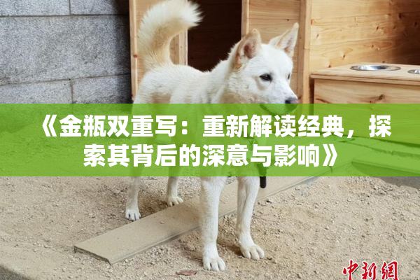 《金瓶双重写：重新解读经典，探索其背后的深意与影响》