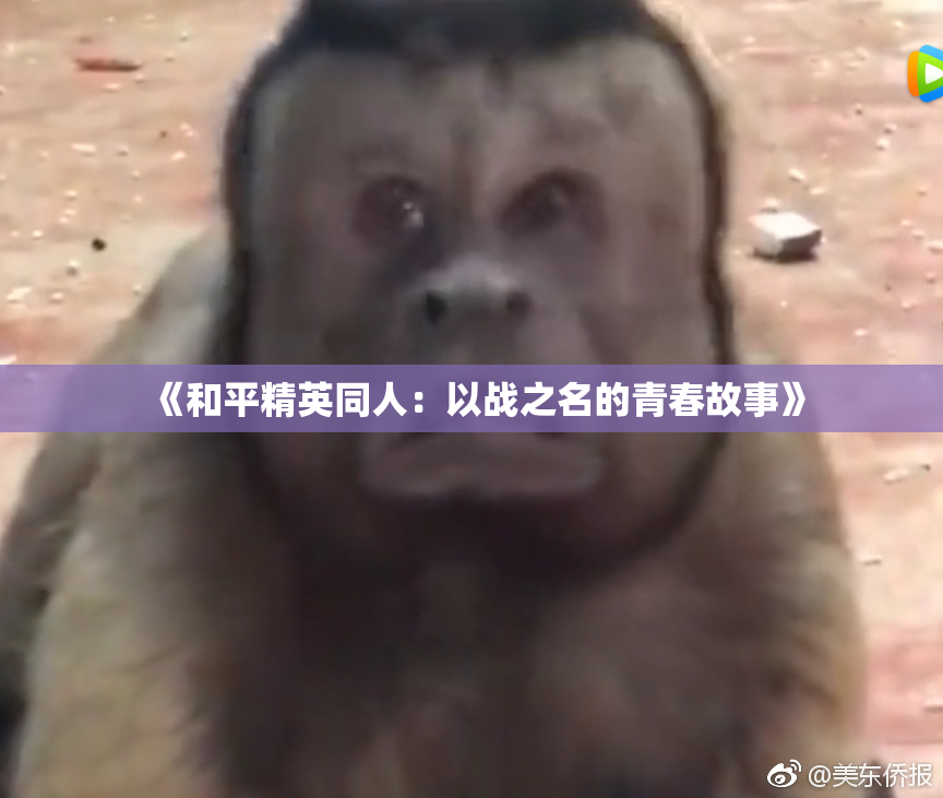 《和平精英同人：以战之名的青春故事》