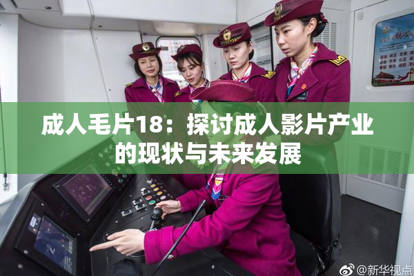 成人毛片18：探讨成人影片产业的现状与未来发展