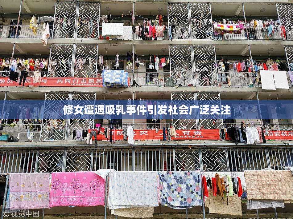 修女遭遇吸乳事件引发社会广泛关注