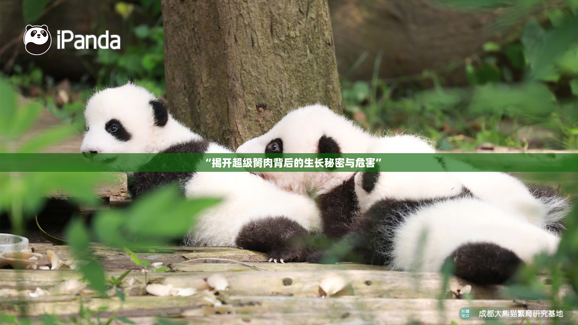 “揭开超级胬肉背后的生长秘密与危害”