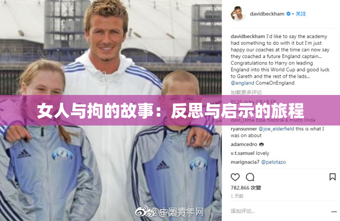 女人与拘的故事：反思与启示的旅程