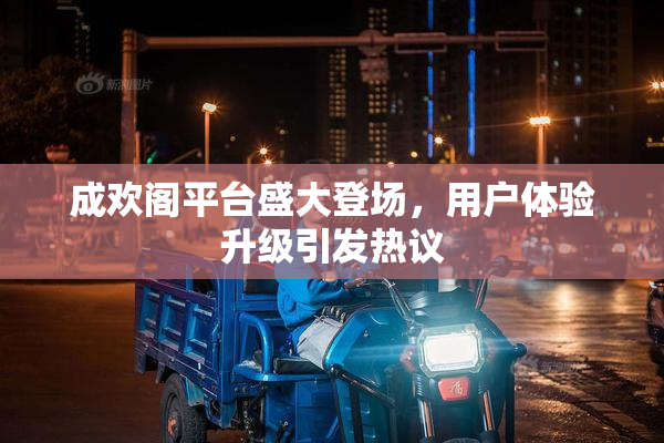 成欢阁平台盛大登场，用户体验升级引发热议