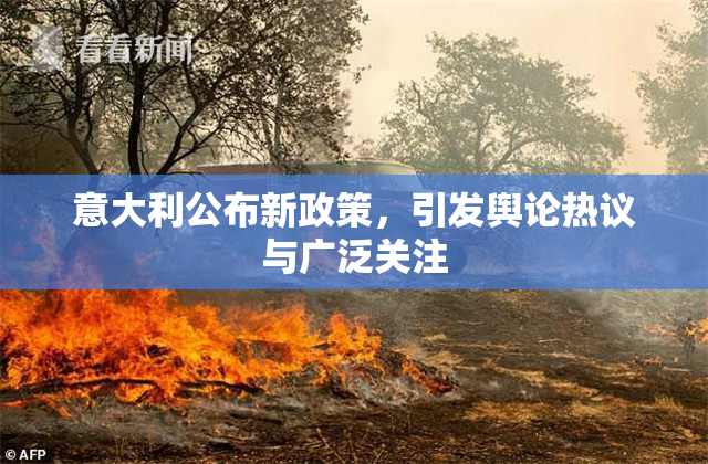 意大利公布新政策，引发舆论热议与广泛关注
