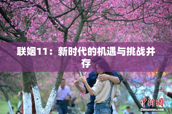 联姻11：新时代的机遇与挑战并存