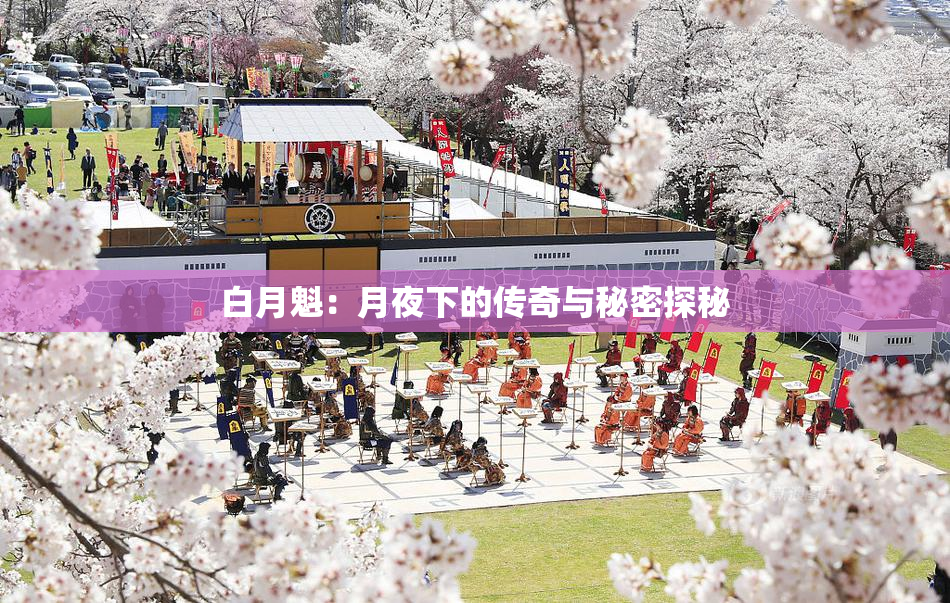 白月魁：月夜下的传奇与秘密探秘