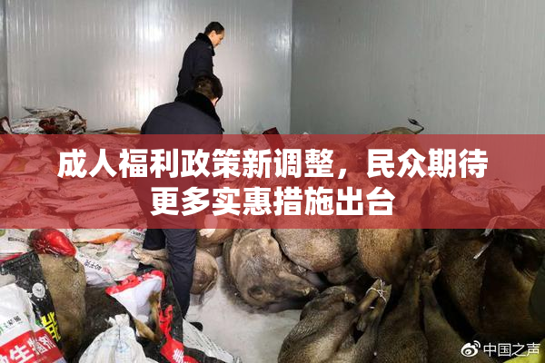 成人福利政策新调整，民众期待更多实惠措施出台