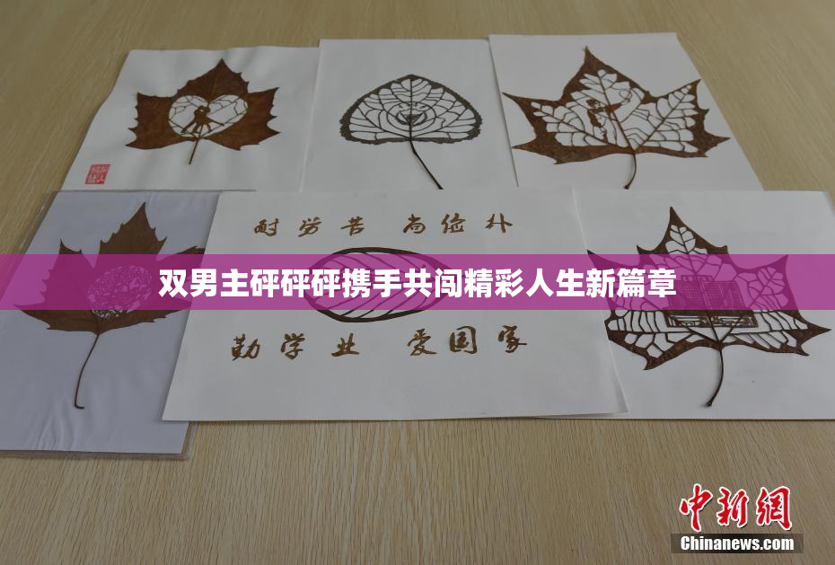 双男主砰砰砰携手共闯精彩人生新篇章