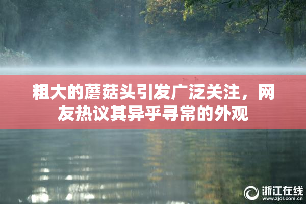 粗大的蘑菇头引发广泛关注，网友热议其异乎寻常的外观