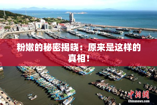 粉嫩的秘密揭晓：原来是这样的真相！