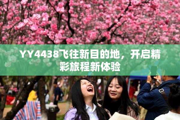 YY4438飞往新目的地，开启精彩旅程新体验