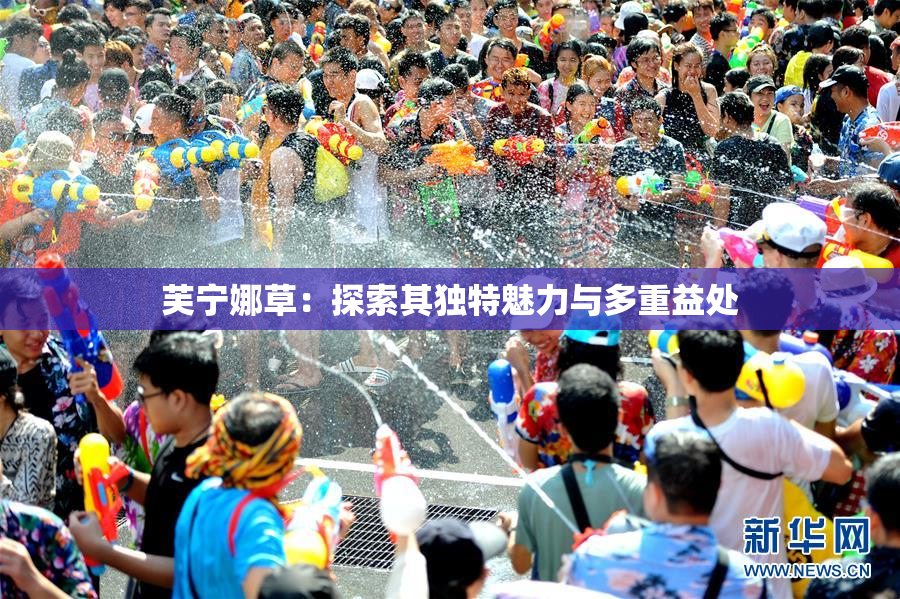 芙宁娜草：探索其独特魅力与多重益处