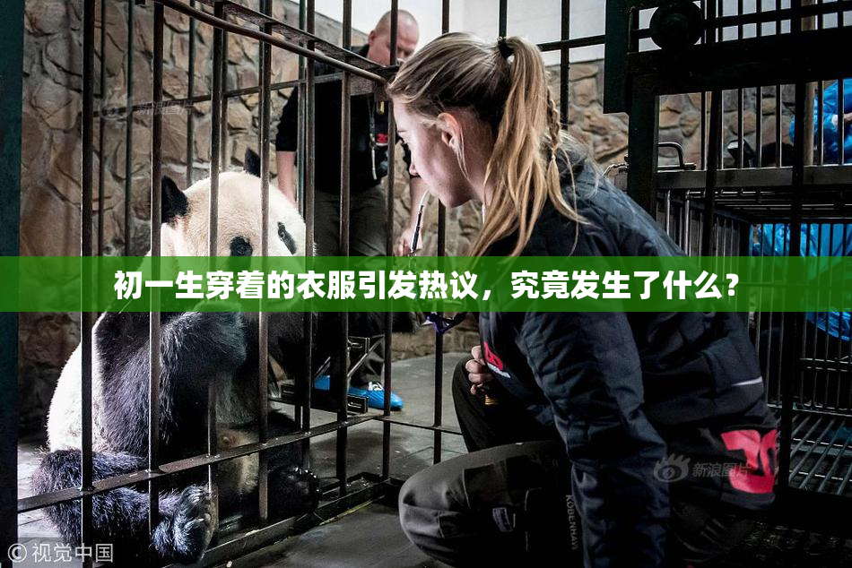 初一生穿着的衣服引发热议，究竟发生了什么？