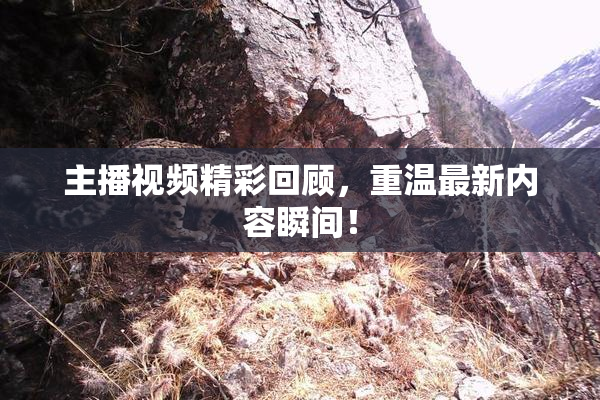 主播视频精彩回顾，重温最新内容瞬间！