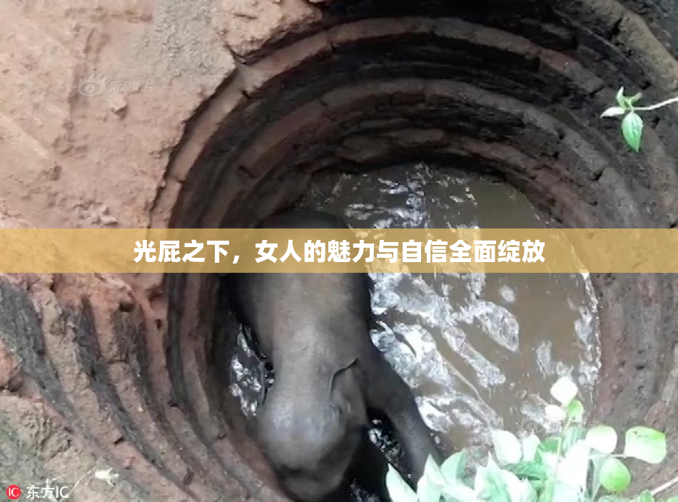 光屁之下，女人的魅力与自信全面绽放