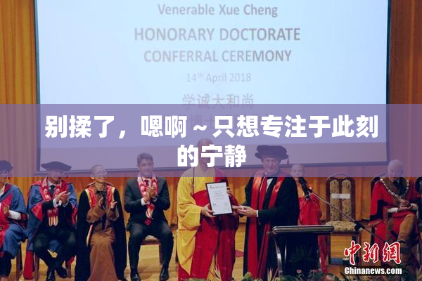 别揉了，嗯啊～只想专注于此刻的宁静