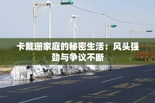 卡戴珊家庭的秘密生活：风头强劲与争议不断