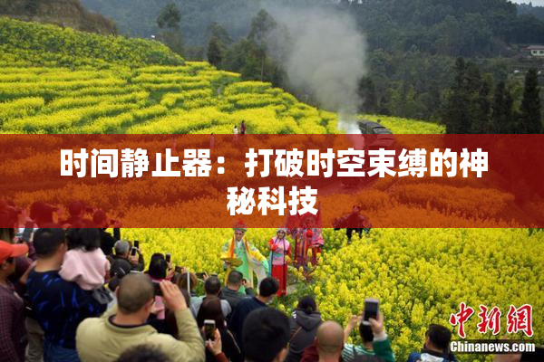 时间静止器：打破时空束缚的神秘科技