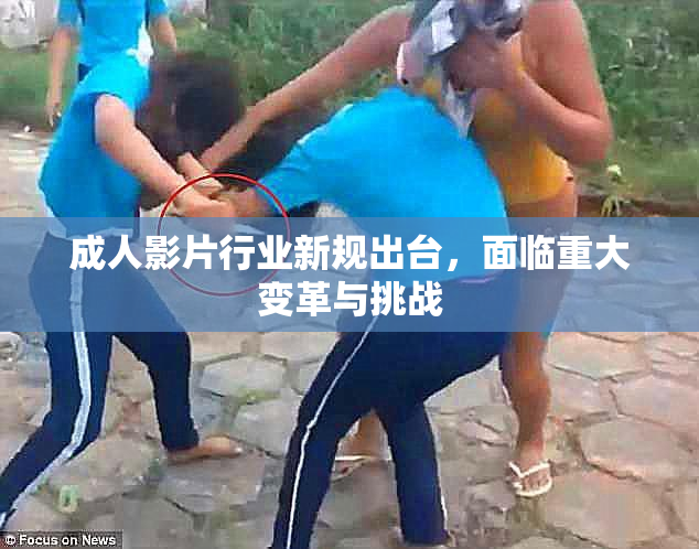 成人影片行业新规出台，面临重大变革与挑战