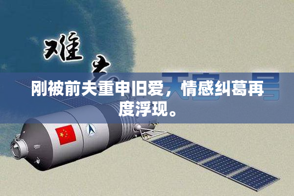 刚被前夫重申旧爱，情感纠葛再度浮现。
