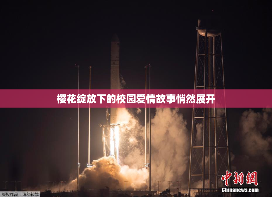 樱花绽放下的校园爱情故事悄然展开