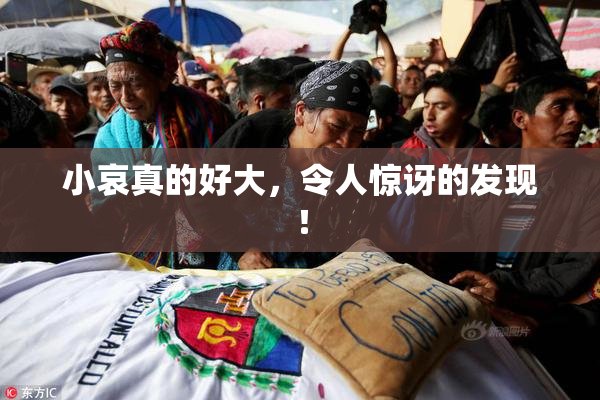 小哀真的好大，令人惊讶的发现！