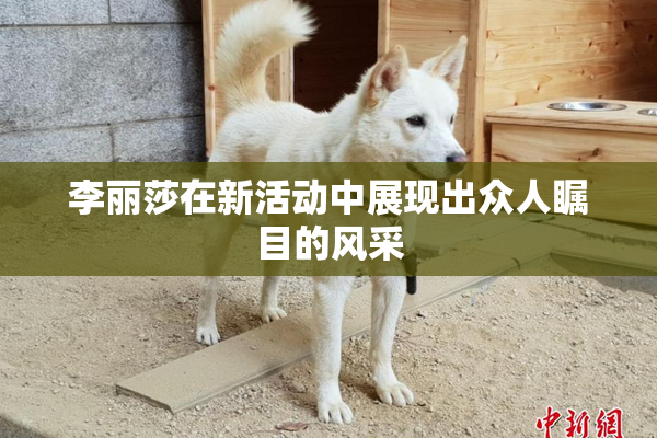 李丽莎在新活动中展现出众人瞩目的风采