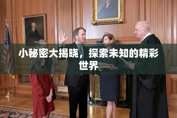 小秘密大揭晓，探索未知的精彩世界