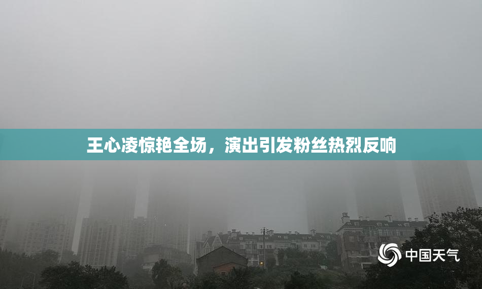 王心凌惊艳全场，演出引发粉丝热烈反响