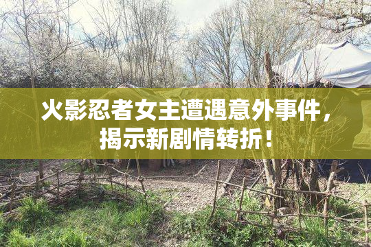火影忍者女主遭遇意外事件，揭示新剧情转折！