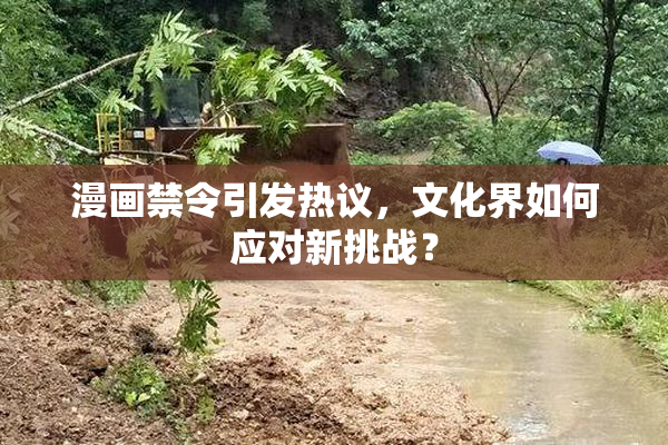 漫画禁令引发热议，文化界如何应对新挑战？