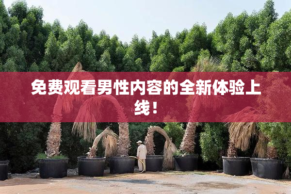 免费观看男性内容的全新体验上线！