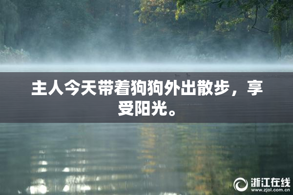 主人今天带着狗狗外出散步，享受阳光。