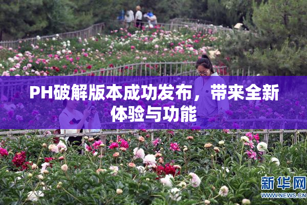 PH破解版本成功发布，带来全新体验与功能