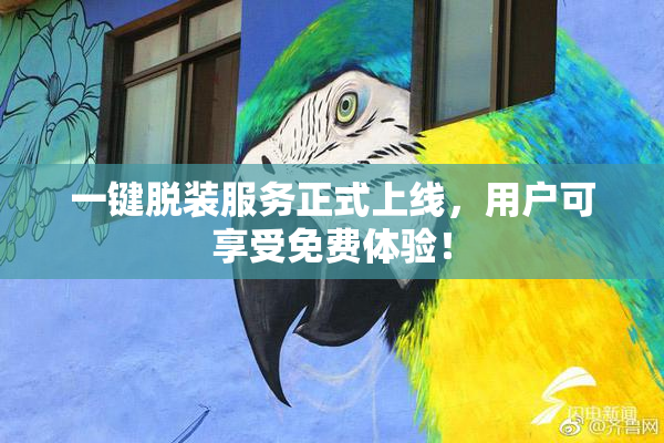 一键脱装服务正式上线，用户可享受免费体验！