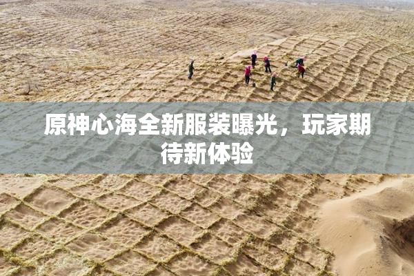 原神心海全新服装曝光，玩家期待新体验