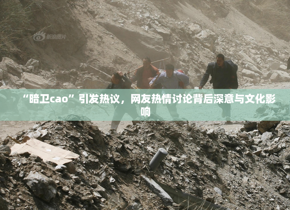 “暗卫cao”引发热议，网友热情讨论背后深意与文化影响
