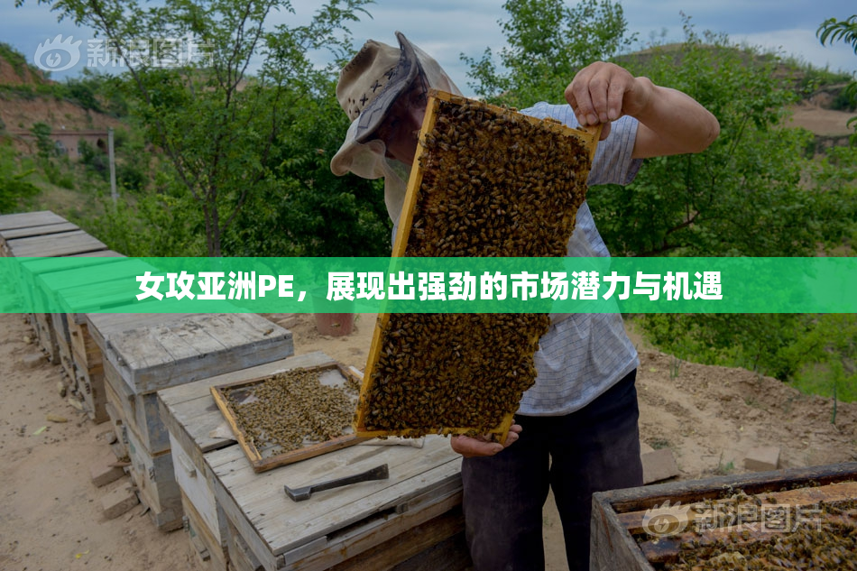 女攻亚洲PE，展现出强劲的市场潜力与机遇
