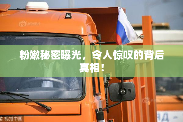 粉嫩秘密曝光，令人惊叹的背后真相！