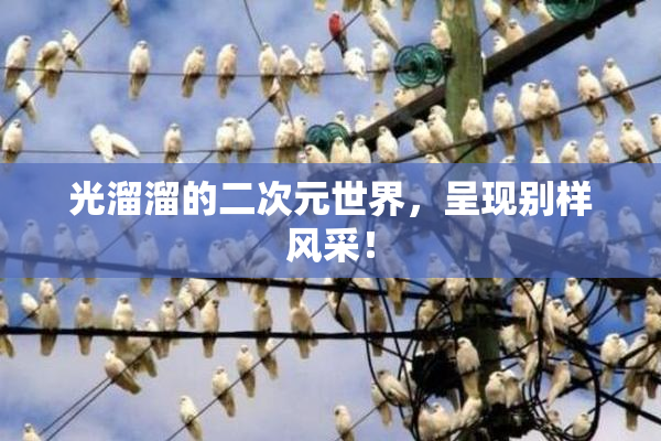 光溜溜的二次元世界，呈现别样风采！