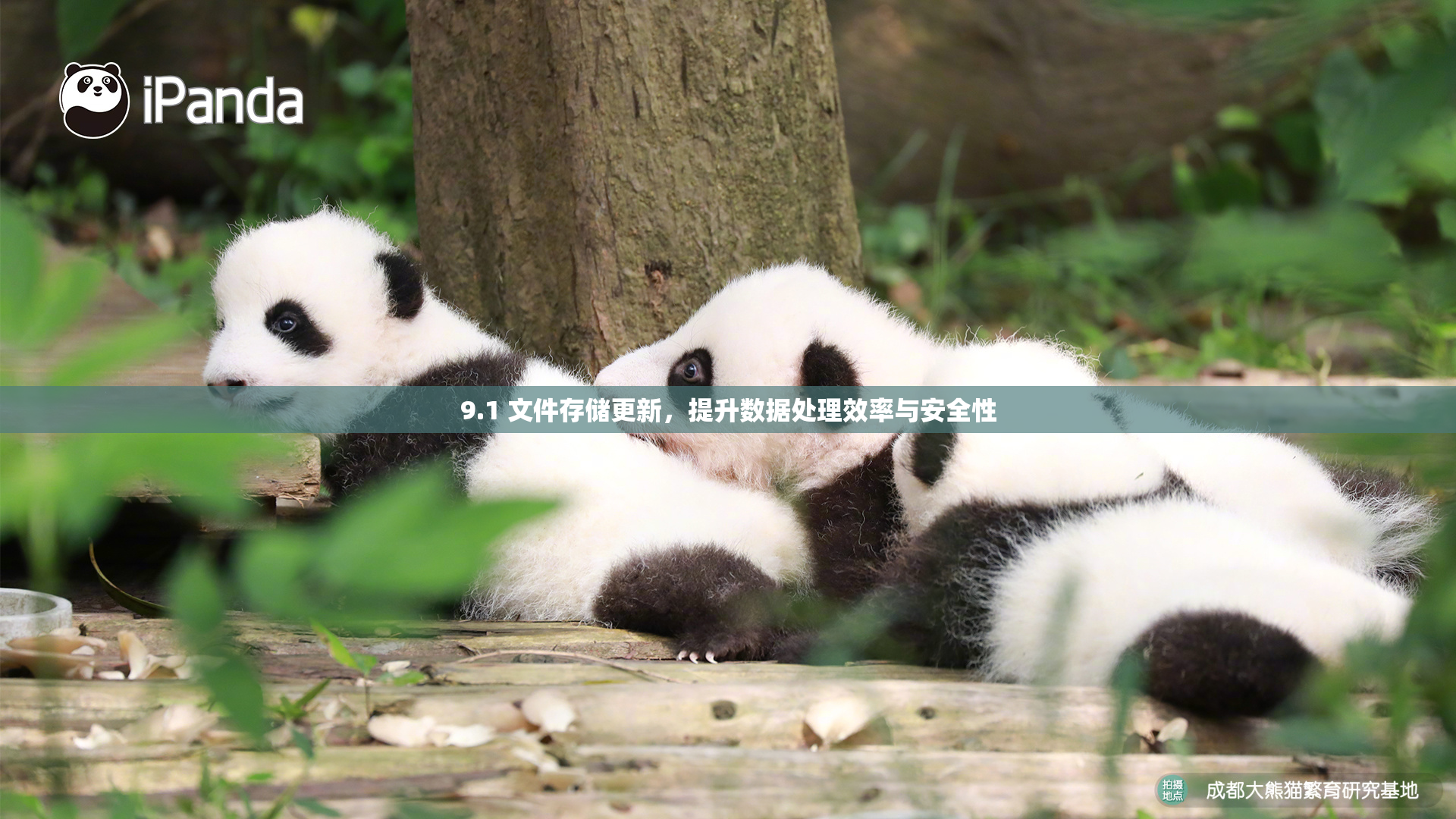 9.1 文件存储更新，提升数据处理效率与安全性