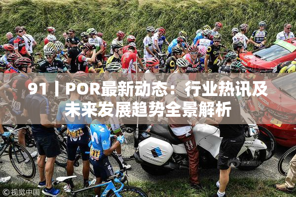 91丨POR最新动态：行业热讯及未来发展趋势全景解析