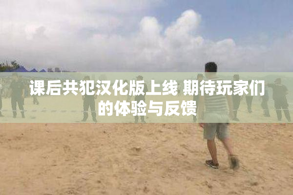 课后共犯汉化版上线 期待玩家们的体验与反馈