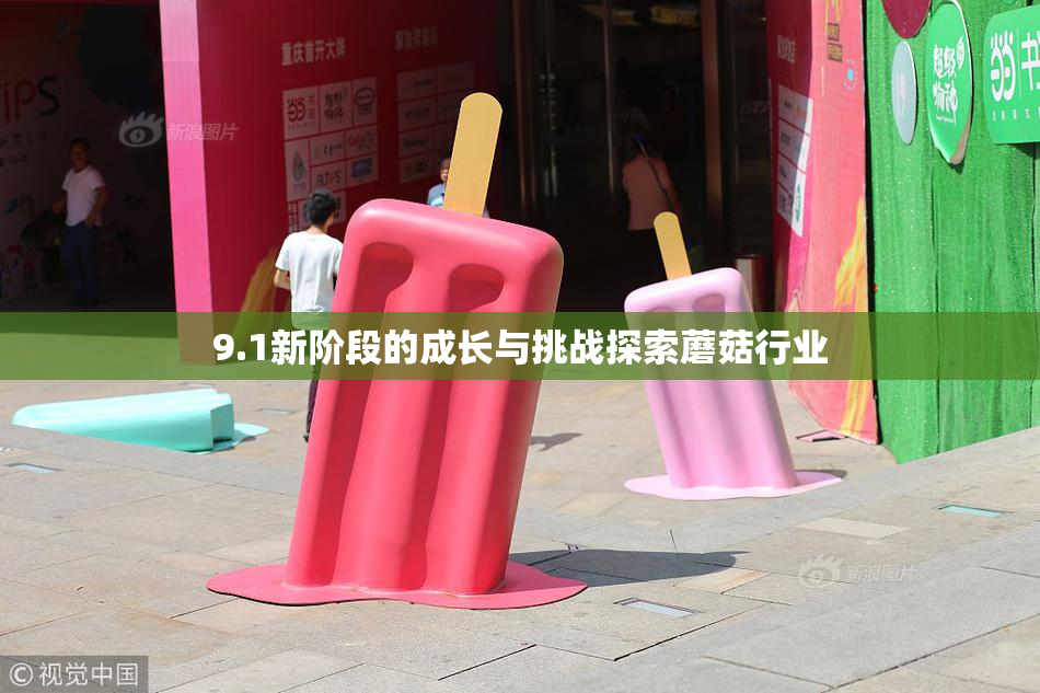 9.1新阶段的成长与挑战探索蘑菇行业